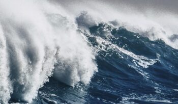TSUNAMI LEADERSHIP